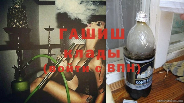 ПСИЛОЦИБИНОВЫЕ ГРИБЫ Арсеньев