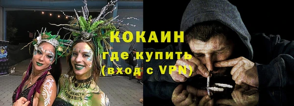 ПСИЛОЦИБИНОВЫЕ ГРИБЫ Арсеньев