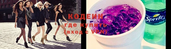 ПСИЛОЦИБИНОВЫЕ ГРИБЫ Арсеньев