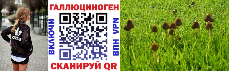 Купить  Чапаевск  Галлюциногенные грибы Cubensis 